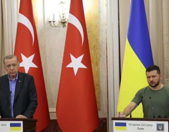 After discussions in Ukraine, Erdogan issues a 'another Chernobyl' warning