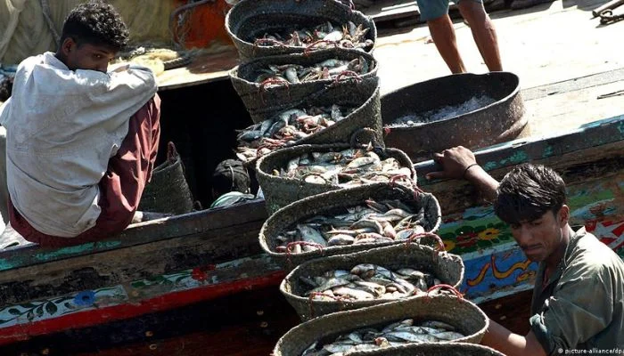 In Pakistan, 90% of the fish eaten is tainted
