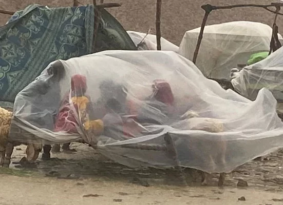 Massive climate anomaly in Pakistan causes devastation and 830 deaths