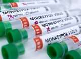India confirms the first case of monkeypox in Asia