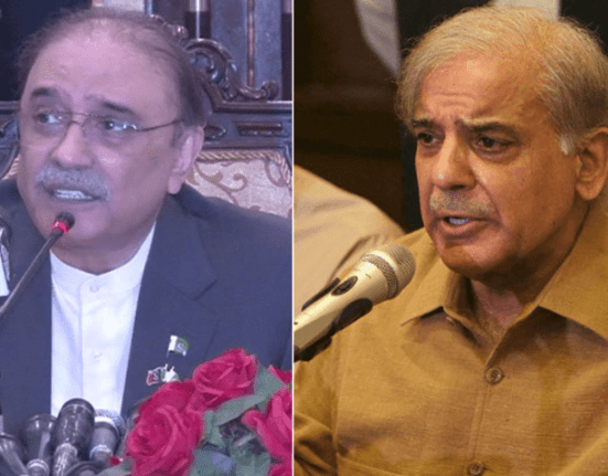Concerned about the Shehbaz government's intention to hike gasoline prices, Zardari