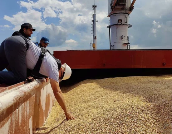 Istanbul receives the first grain supply from Ukraine