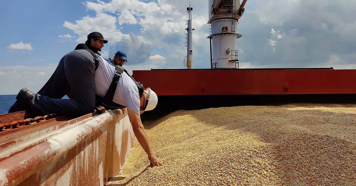Istanbul receives the first grain supply from Ukraine