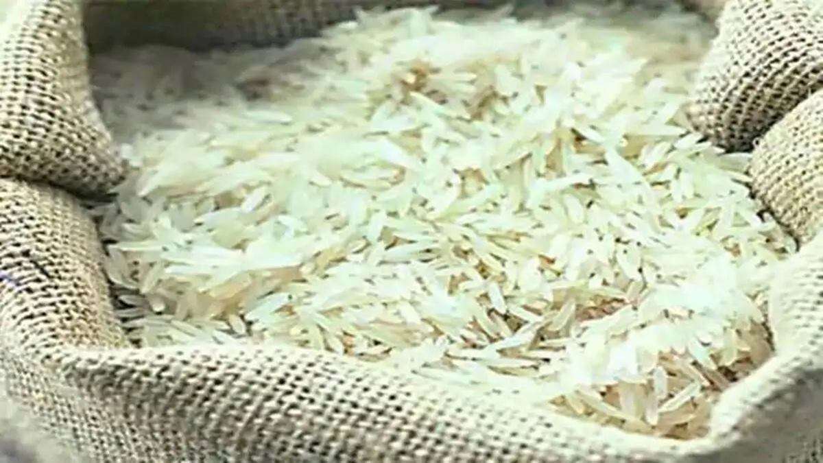 India's rice export restrictions keep 1 million tonnes in ports