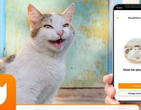 An app that turns cat meows into English words has pet owners giddy