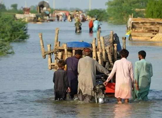 NDMA reports that 1,186 people have died in floods