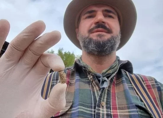 A human tooth that is 1.8 million years old is found by archaeologists in Georgia