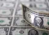 Dollar keeps gaining while facing PKR