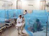 Sindh experiences another dengue death